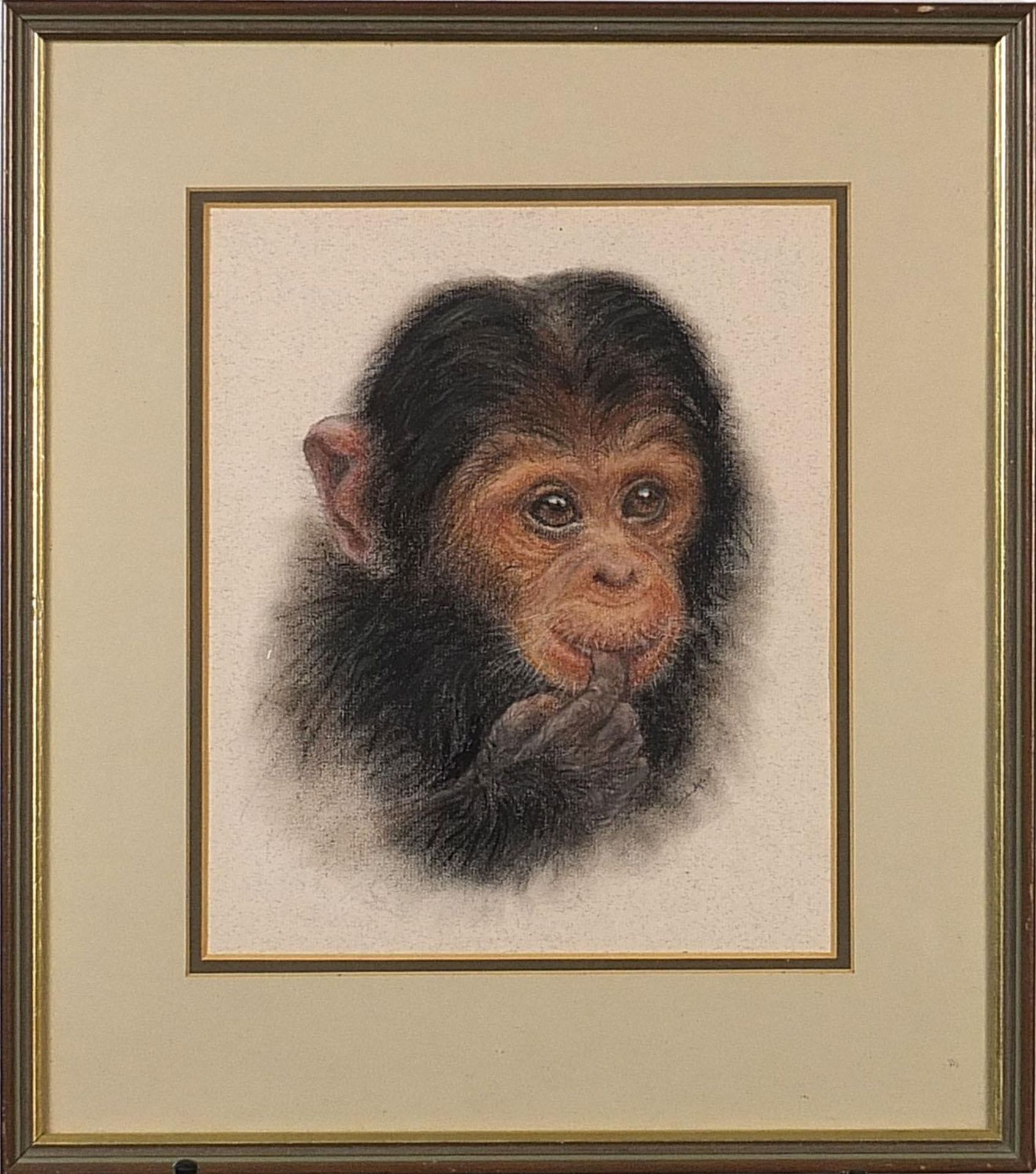 It's the Taste, portrait of a chimpanzee, pastel, indistinctly signed, details verso, mounted, - Image 2 of 5