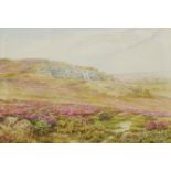 Merton - Flowers before cliffs, watercolour, indistinctly signed, mounted, framed and glazed, 27cm x