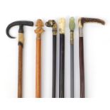 Six walking sticks including one bone handled with silver collar, brass dog's head, Napoleon and