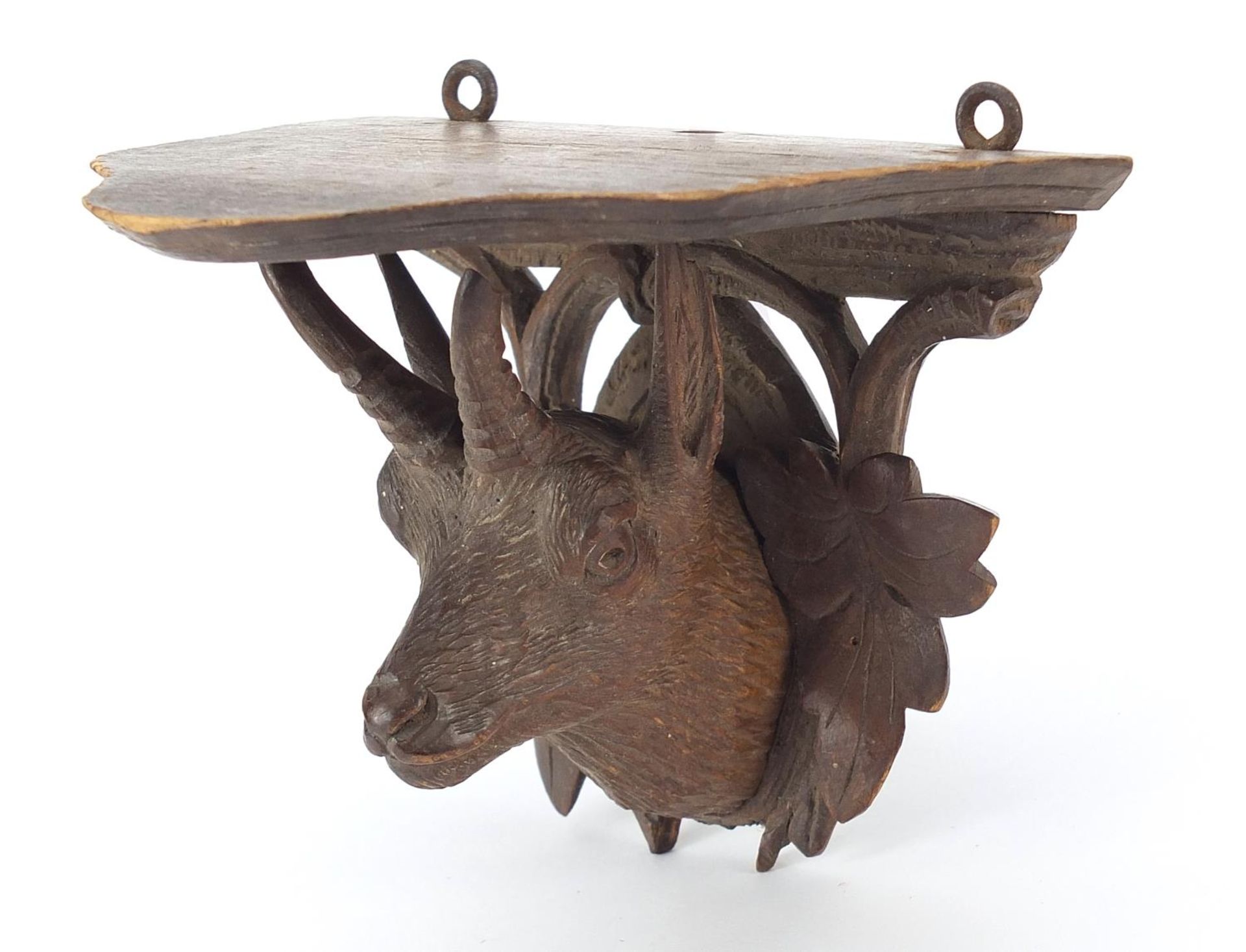 Black Forest carved wall bracket in the form of a goat's head, 11cm high