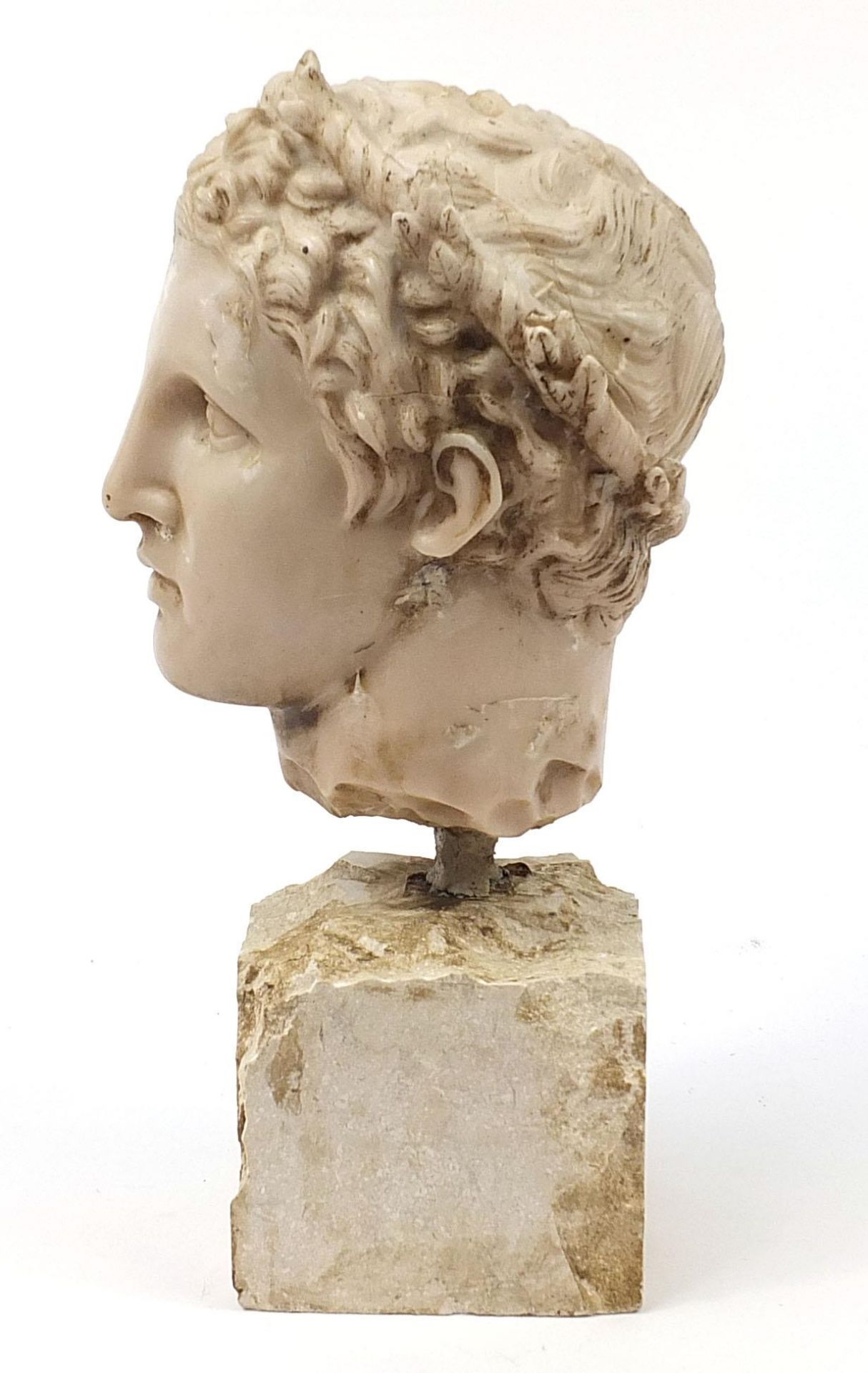 Roman style bust of a man, raised on a stone style base, 51.5cm high - Image 3 of 7