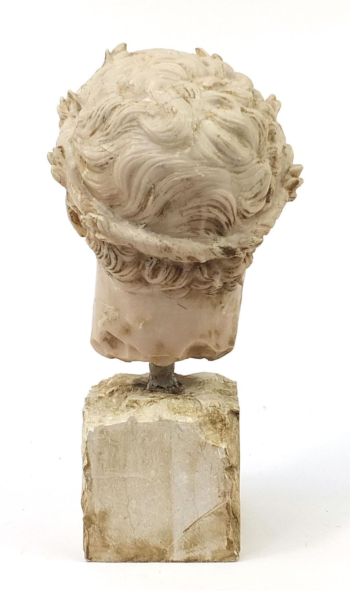 Roman style bust of a man, raised on a stone style base, 51.5cm high - Image 4 of 7