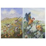 Jo Swinn - Birds before landscapes, pair of watercolours, including goldfinches, mounted, framed and