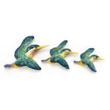 Three Beswick porcelain kingfisher birds wall plaques, the largest 19.5cm in length