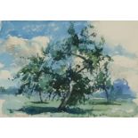 William Dring 1934 - Tree in a field, signed watercolour, Agnews, London label verso, mounted,