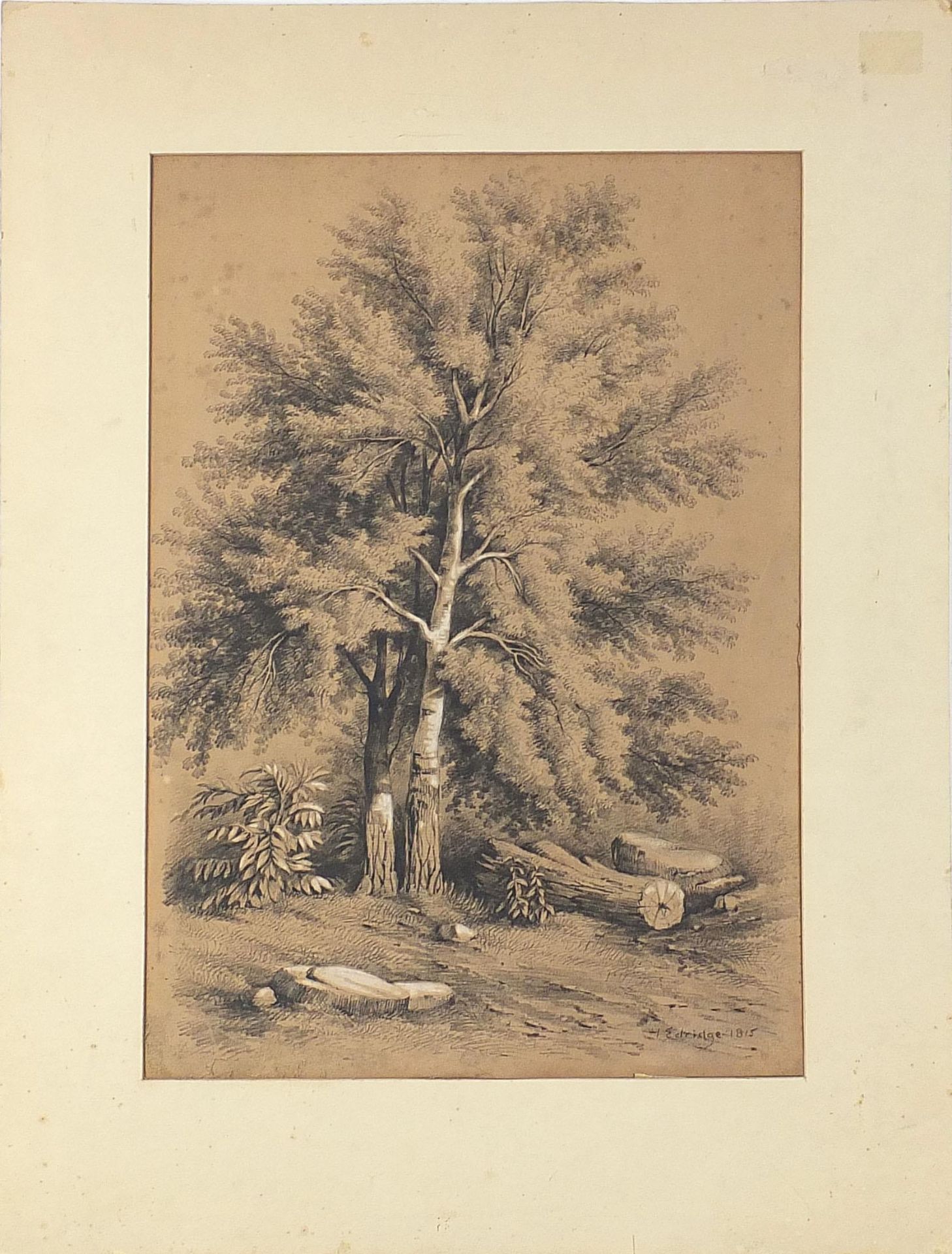 Henry Edridge 1815- Trees, early 19th century heightened pencil drawing, mounted, unframed, 46.5cm x - Image 2 of 4