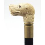 Hardwood walking stick with carved bone dog's head handle, 93cm in length