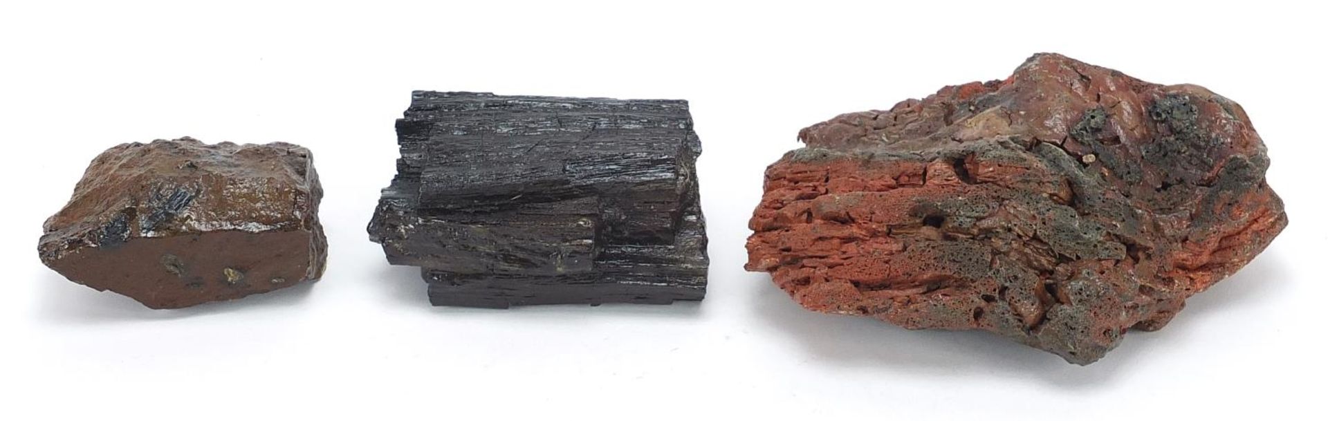 Three pieces of fossilised woods including North America Pet Red Lava