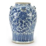 Chinese blue and white porcelain jar with animalia heads, hand painted with flowers amongst