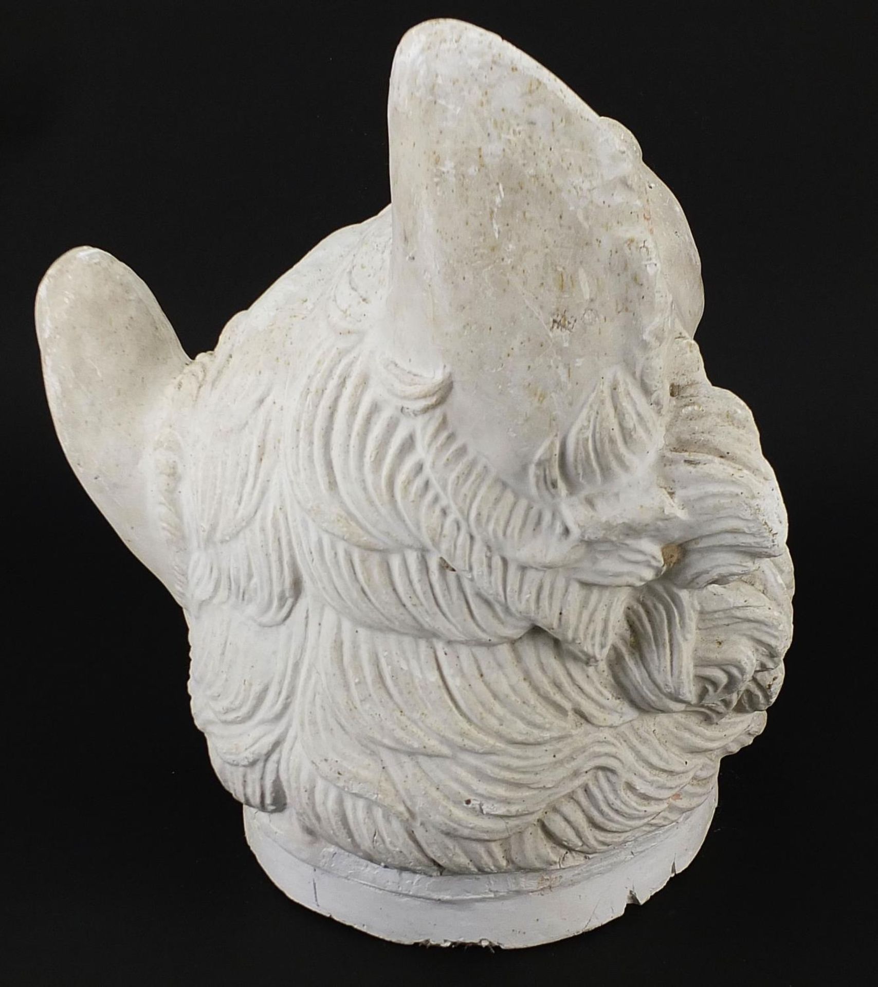 Large plaster bust of a Molosser guard dog, 40cm high - Image 2 of 3