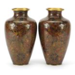 Pair of Chinese cloisonne vases enamelled with flowers, 21cm high
