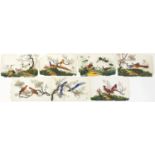 Birds and wild animals, seven Chinese watercolour on pith paper paintings, unframed, each 34cm x