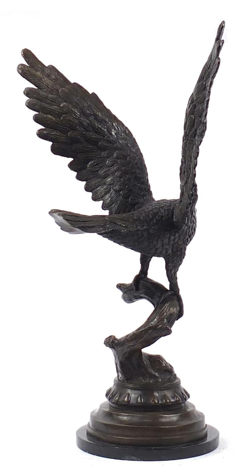 Floor standing patinated bronze study of an eagle with outspread wings raised on a circular black - Image 2 of 2