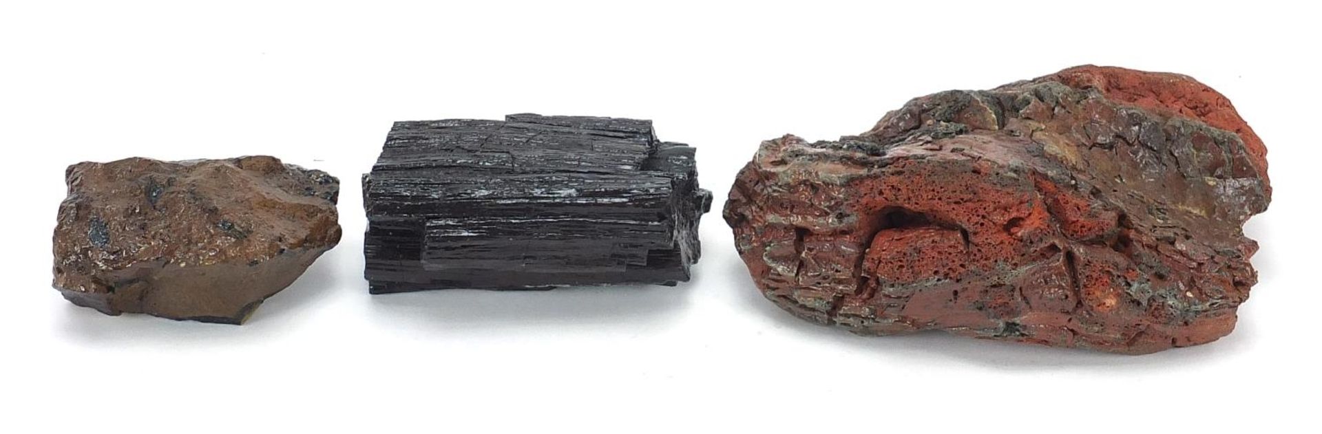 Three pieces of fossilised woods including North America Pet Red Lava - Bild 2 aus 3