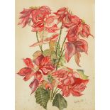 Carla Valer Schnitzer - Pointsettia, watercolour, various labels verso including At the Mall