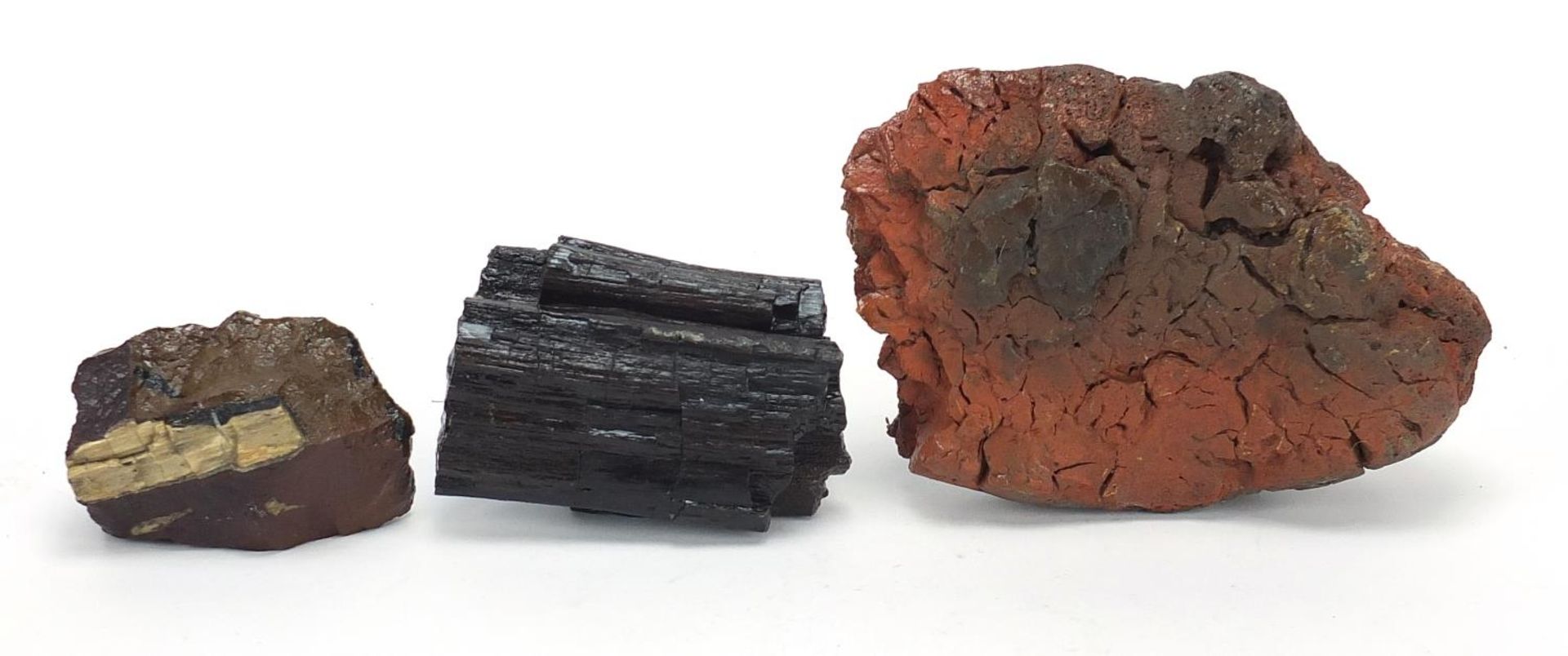 Three pieces of fossilised woods including North America Pet Red Lava - Bild 3 aus 3