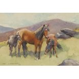 Mabel Amber Kingwell 1916 - Horse and foals before mountains, early 20th century watercolour,