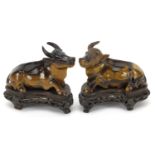 Pair of Chinese carved tiger's eye water buffalos, each raised on a carved wood base, 8.5cm in