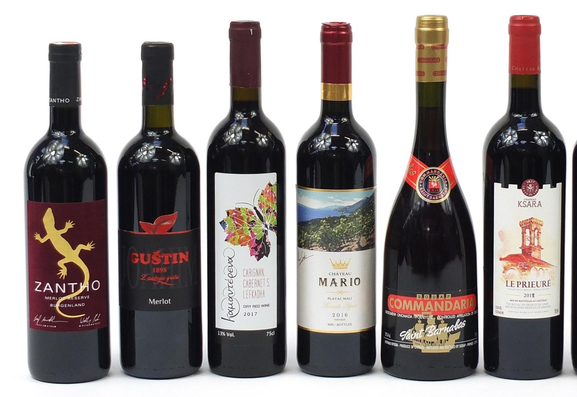 Twelve bottles of red wine including Chateau Ksara Dendarves, Shiraz and Zantho Merlot - Image 2 of 3