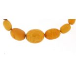 Egg yolk amber coloured bead necklace, the largest bead 20mm in length x 15mm in diameter, 35cm in