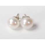 PAIR OF LADIES PEARL STUD EARRINGS