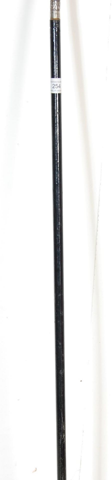 19TH CENTURY ANTIQUE DANDY CANE / WALKING STICK - Image 4 of 4