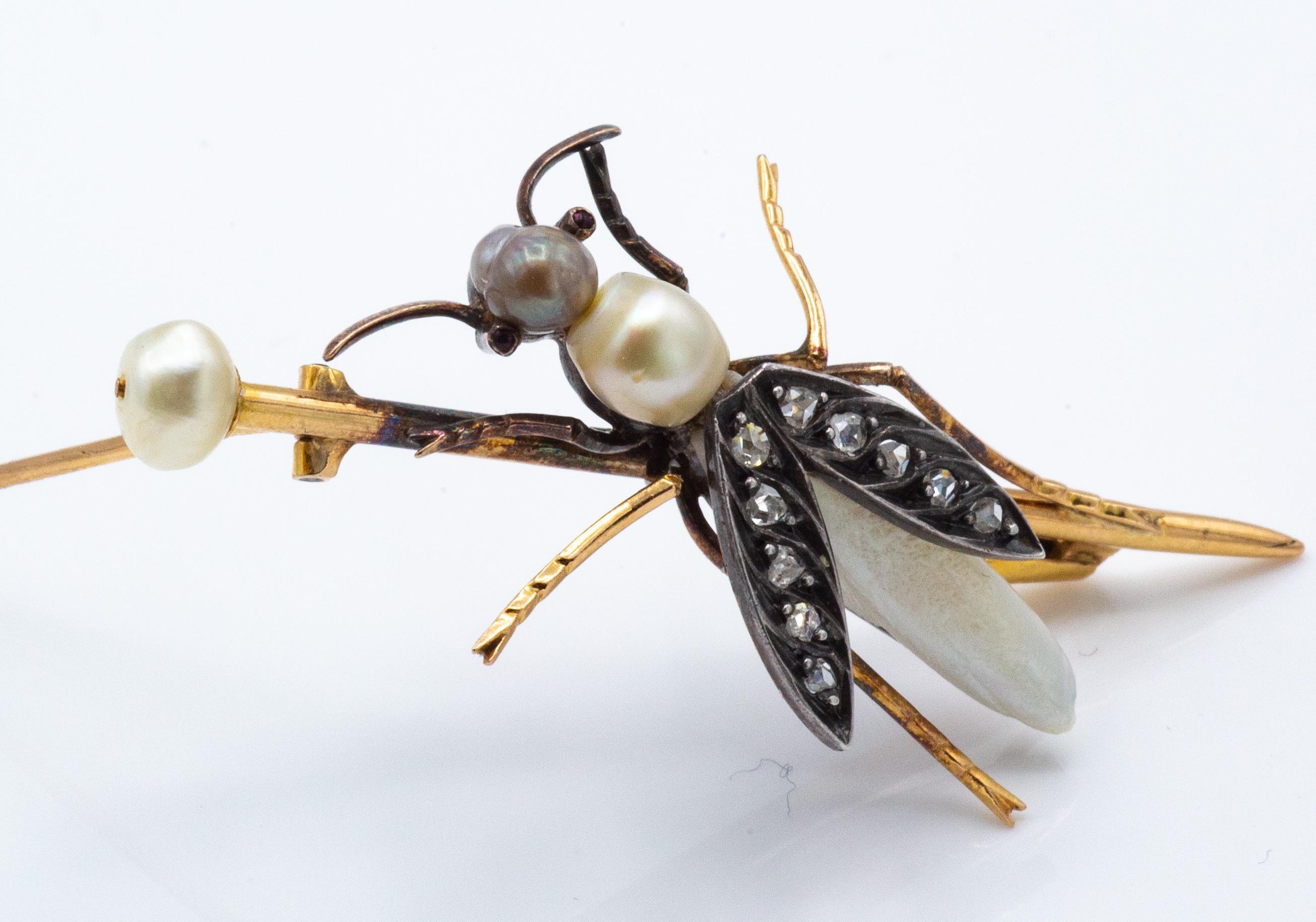 19th Century 18ct Gold & Pearl French Bee Brooch Pin - Image 3 of 6