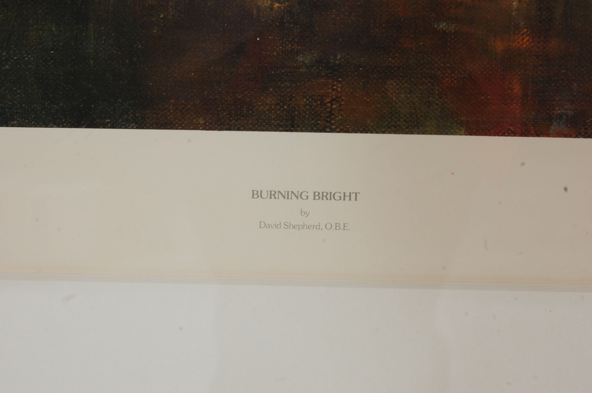 DAVID SHEPPARD OBE (1931-2017) LIMITED EDITION PRINT OF BURNING BRIGHT - Bild 4 aus 5