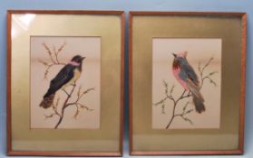 OF TAXIDERMY INTEREST - TWO ANTIQUE EARLY 20TH CENTURY WATERCOULOUR PAINTINGS WITH BIRD FEATHERS
