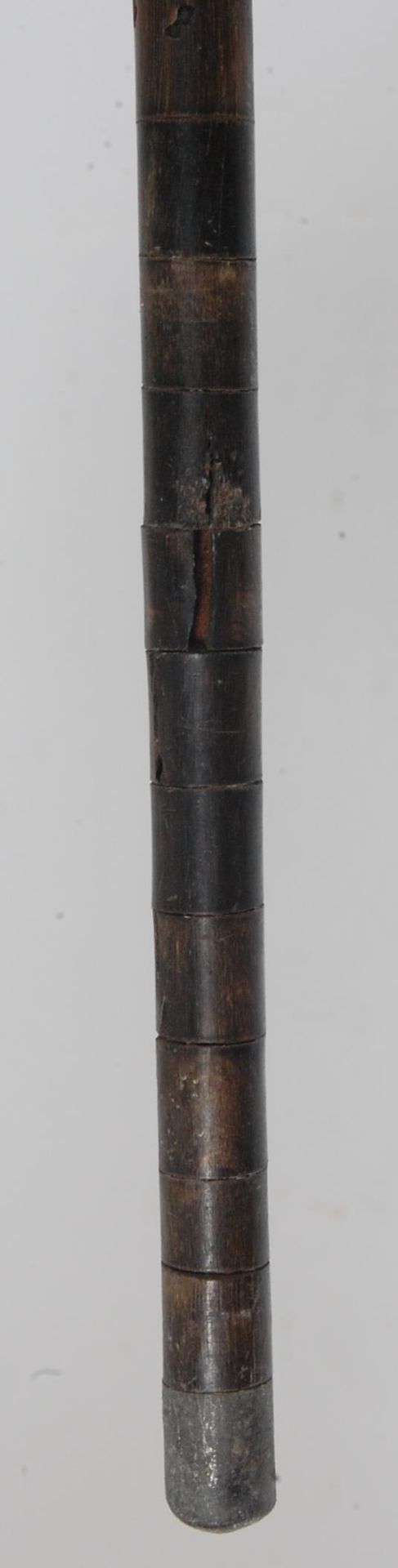 ANTIQUE VICTORIAN 19TH CENTURY VERTEBRAE WALKING STICK - Bild 6 aus 6