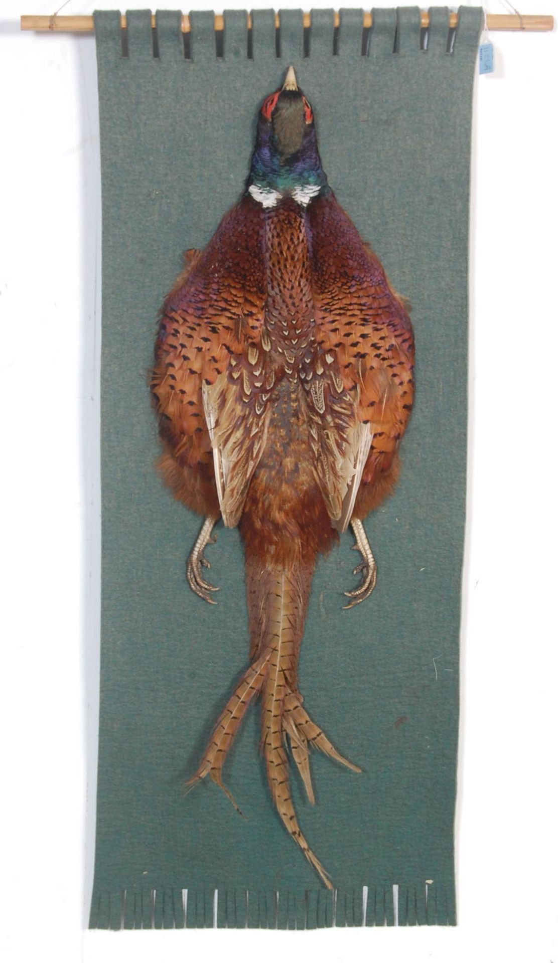 VINTAGE LATE 20TH CENTURY TAXIDERMY WALL HANGING OF A PHEASANT
