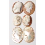 SIX ANTIQUE CARVED CAMEO PANELS