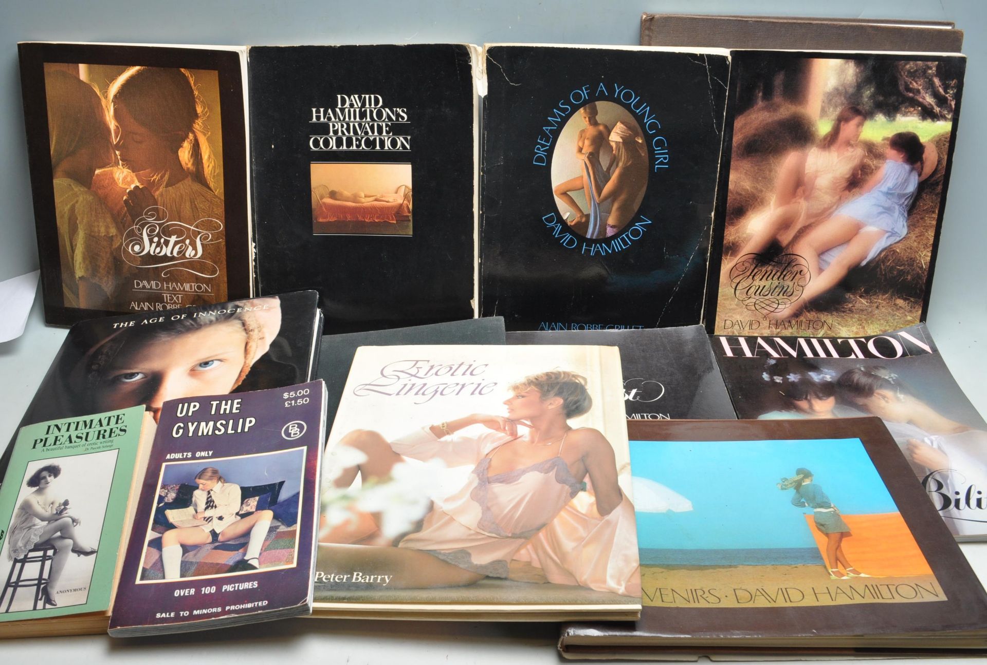 COLLECTION OF ELEVEN HARDBACK EROTICA BOOKS BY DVID HAMILTON