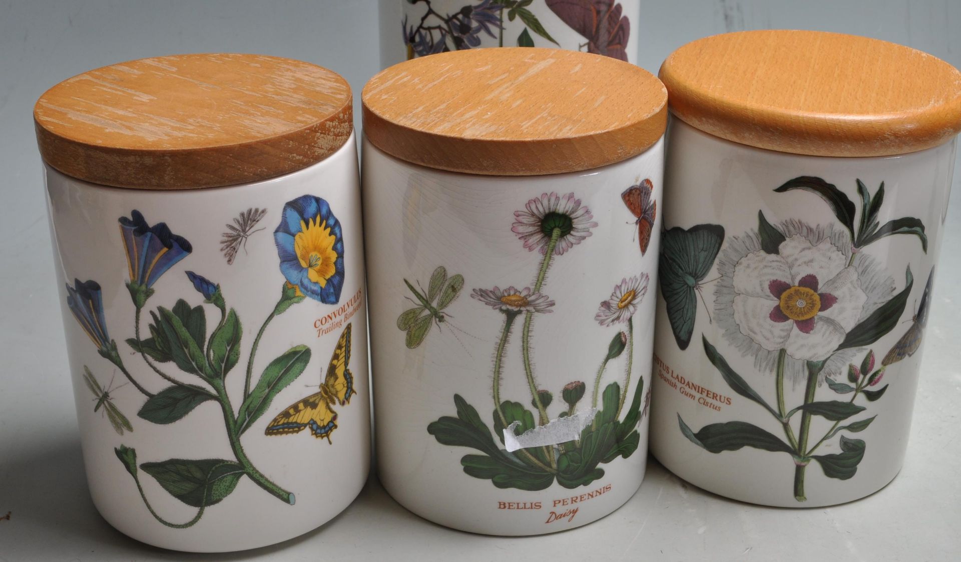 COLLECTION OF 14 STORAGE JARS BY PORTMERION BOTANI - Bild 6 aus 11