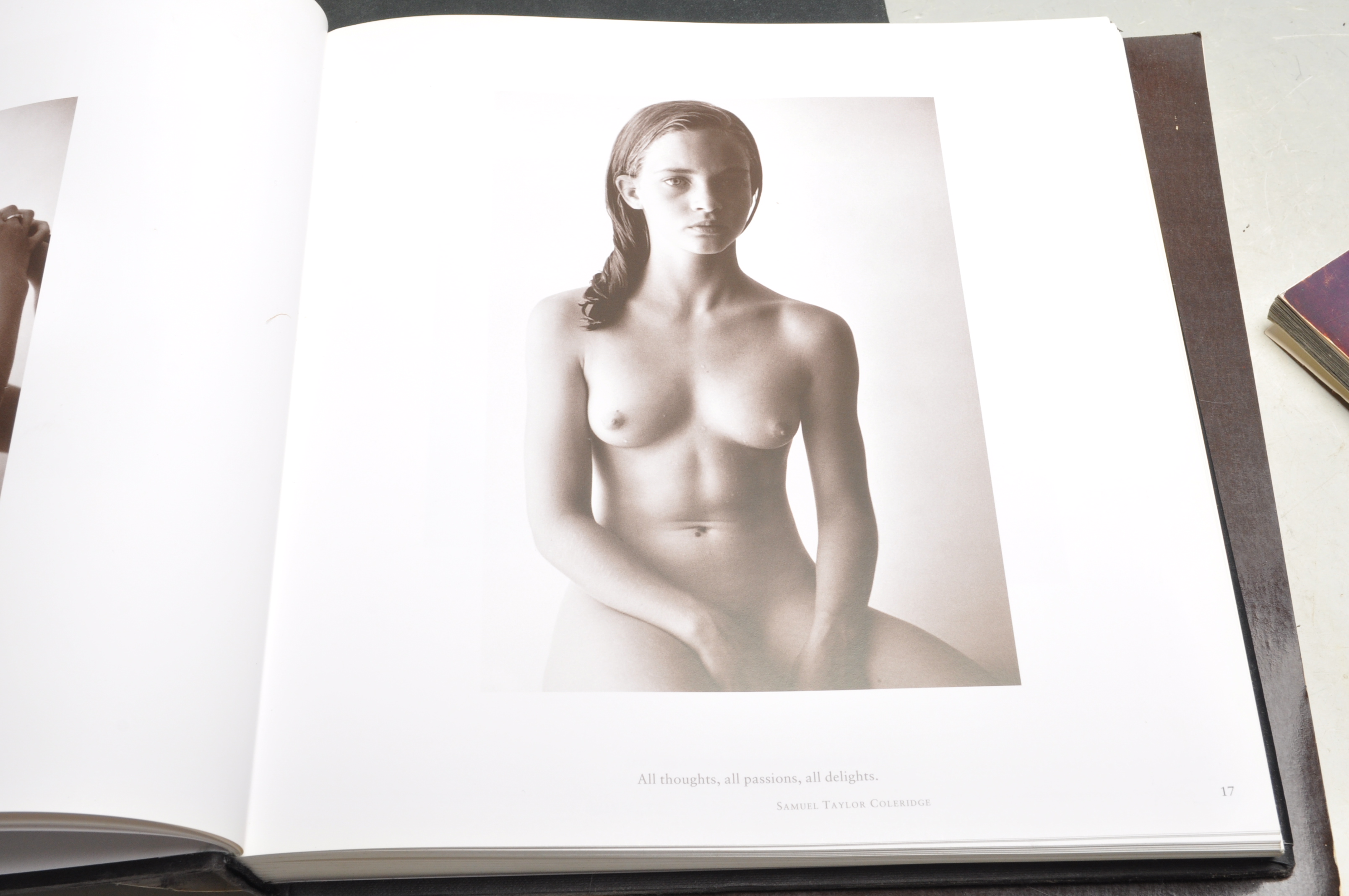 COLLECTION OF ELEVEN HARDBACK EROTICA BOOKS BY DVID HAMILTON - Image 16 of 17