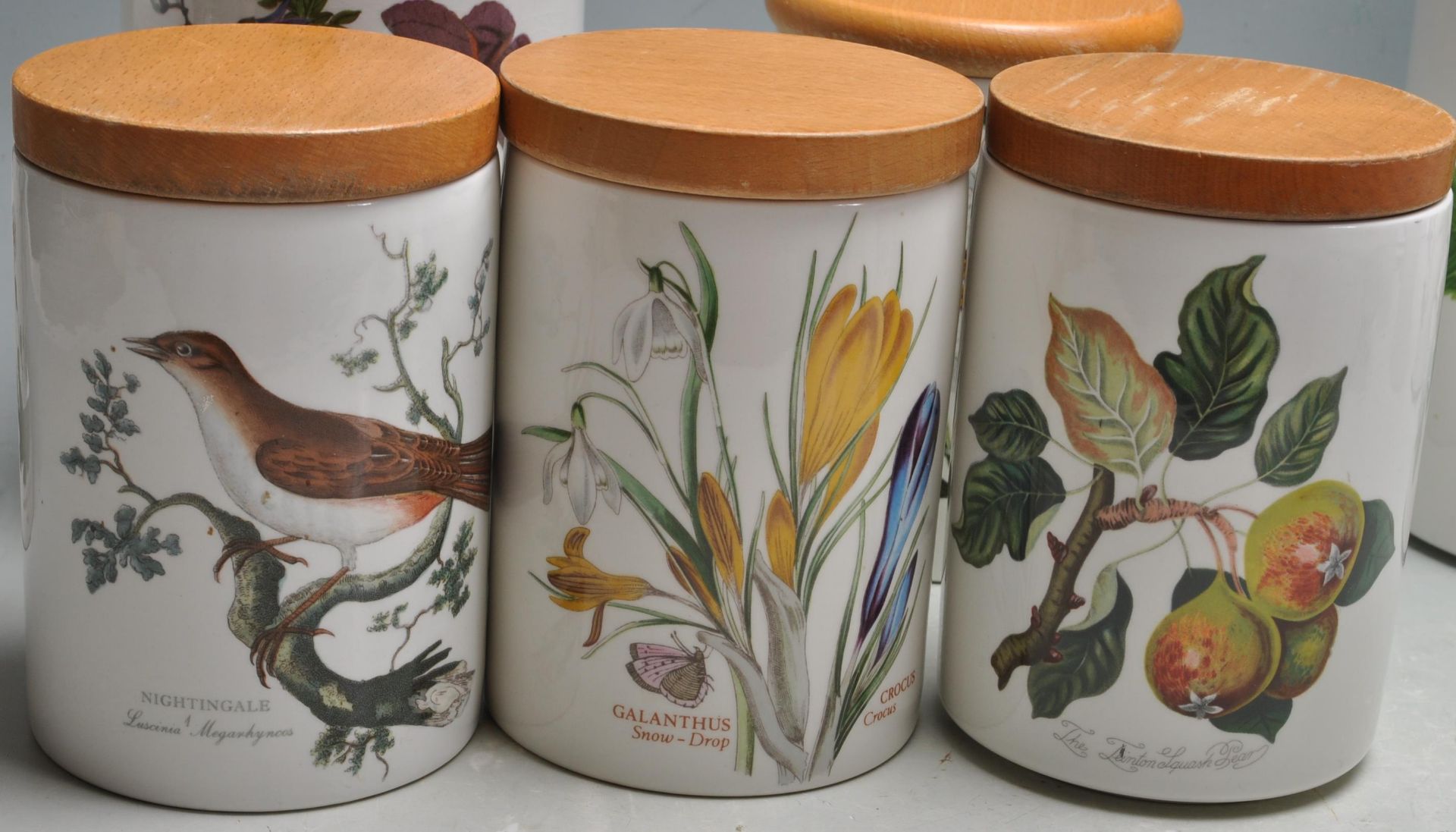 COLLECTION OF 14 STORAGE JARS BY PORTMERION BOTANI - Bild 5 aus 11