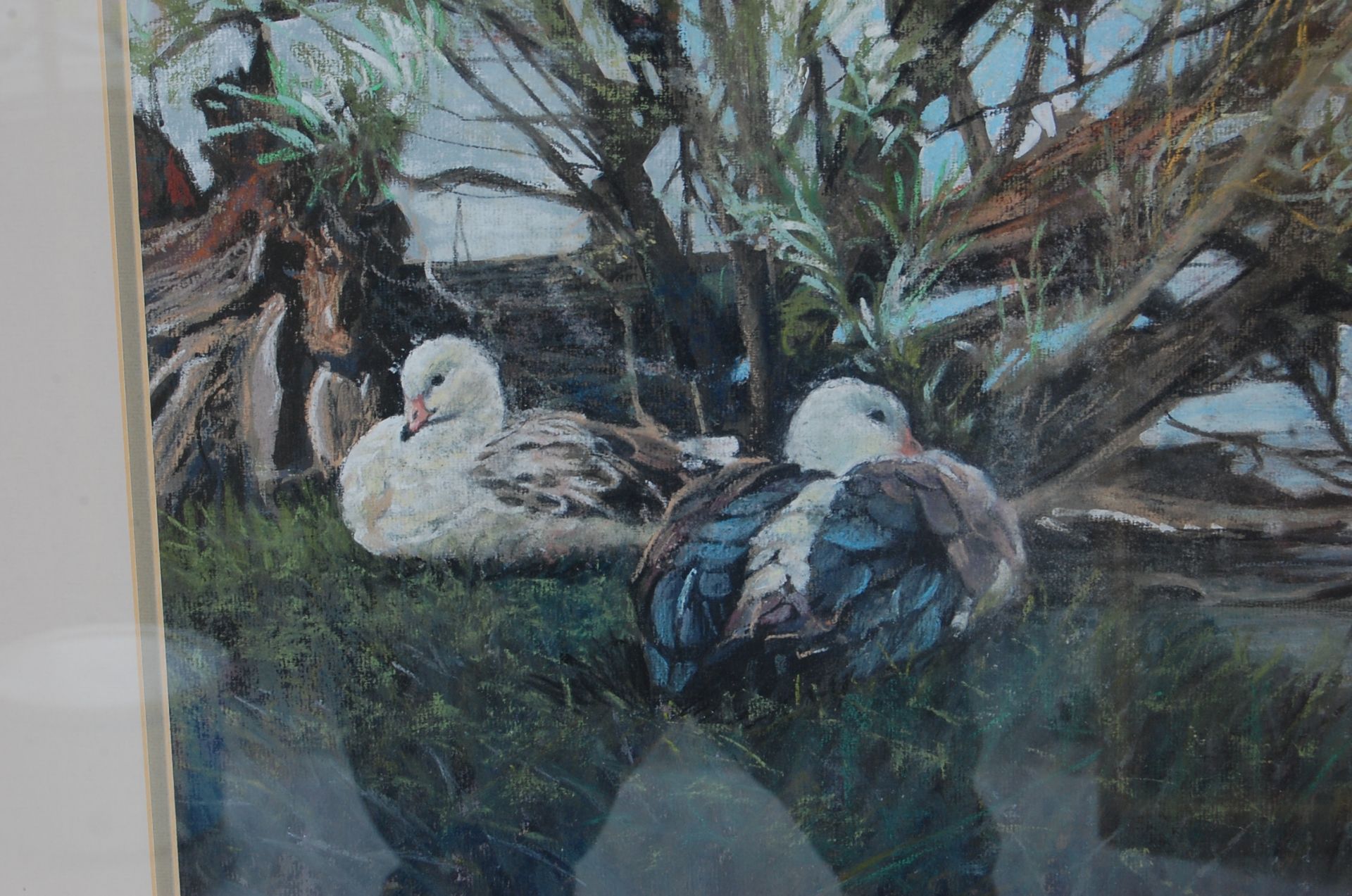 WENDY L STEVENSON 1950 - 2003 ANDEAN GEESE PASTEL ON INGRE BOARD - Bild 3 aus 5