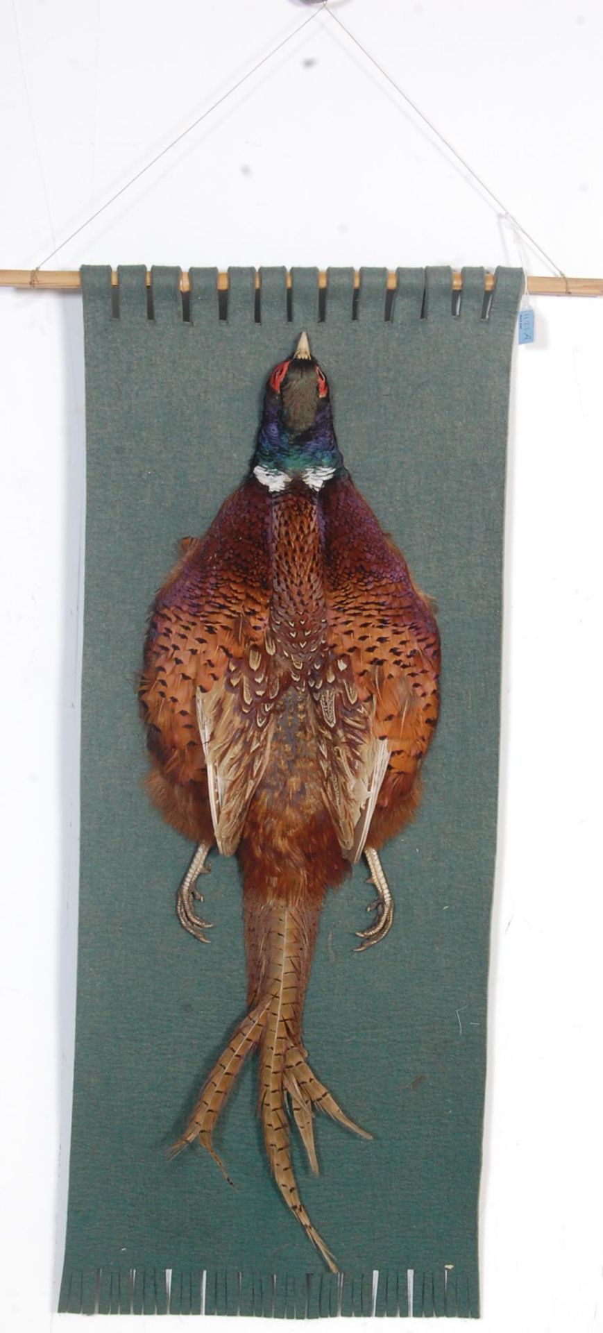 VINTAGE LATE 20TH CENTURY TAXIDERMY WALL HANGING OF A PHEASANT - Bild 6 aus 6