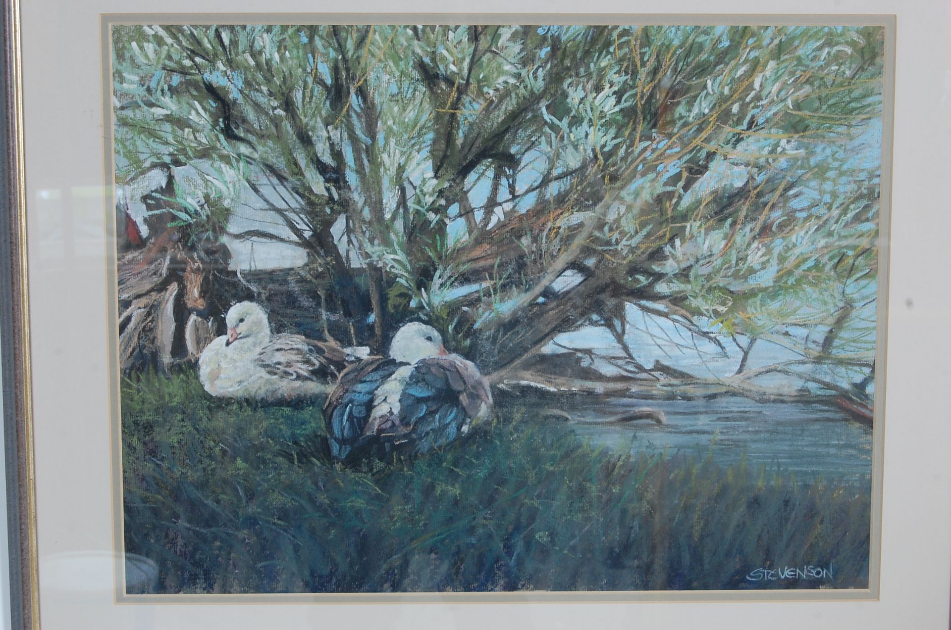 WENDY L STEVENSON 1950 - 2003 ANDEAN GEESE PASTEL ON INGRE BOARD - Bild 2 aus 5