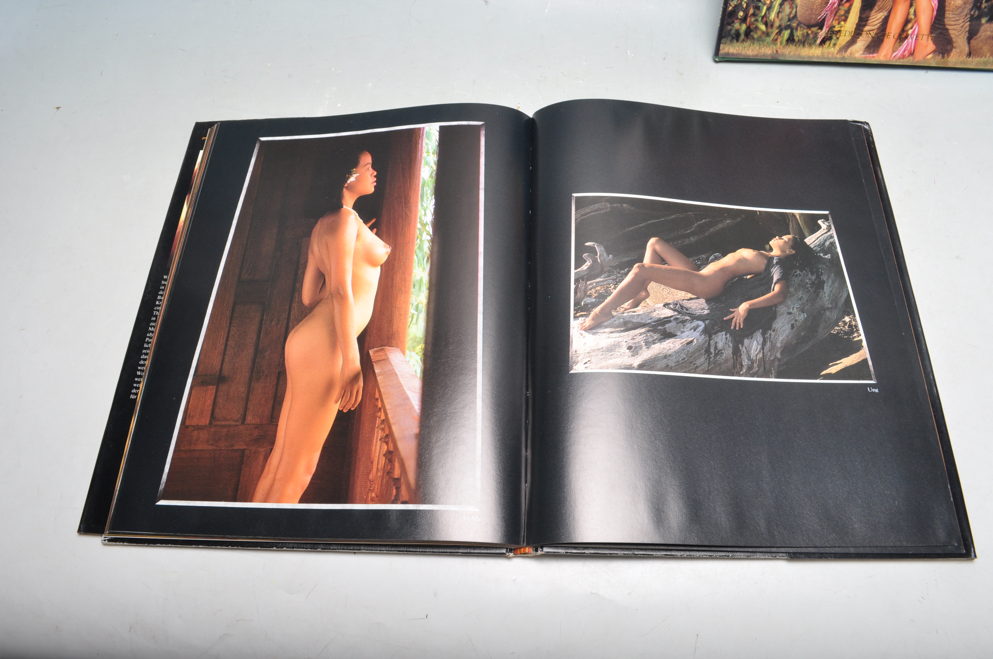 COLLECITON OF LATE 20TH CENTURY HARDBACK EROTICA - Image 15 of 19