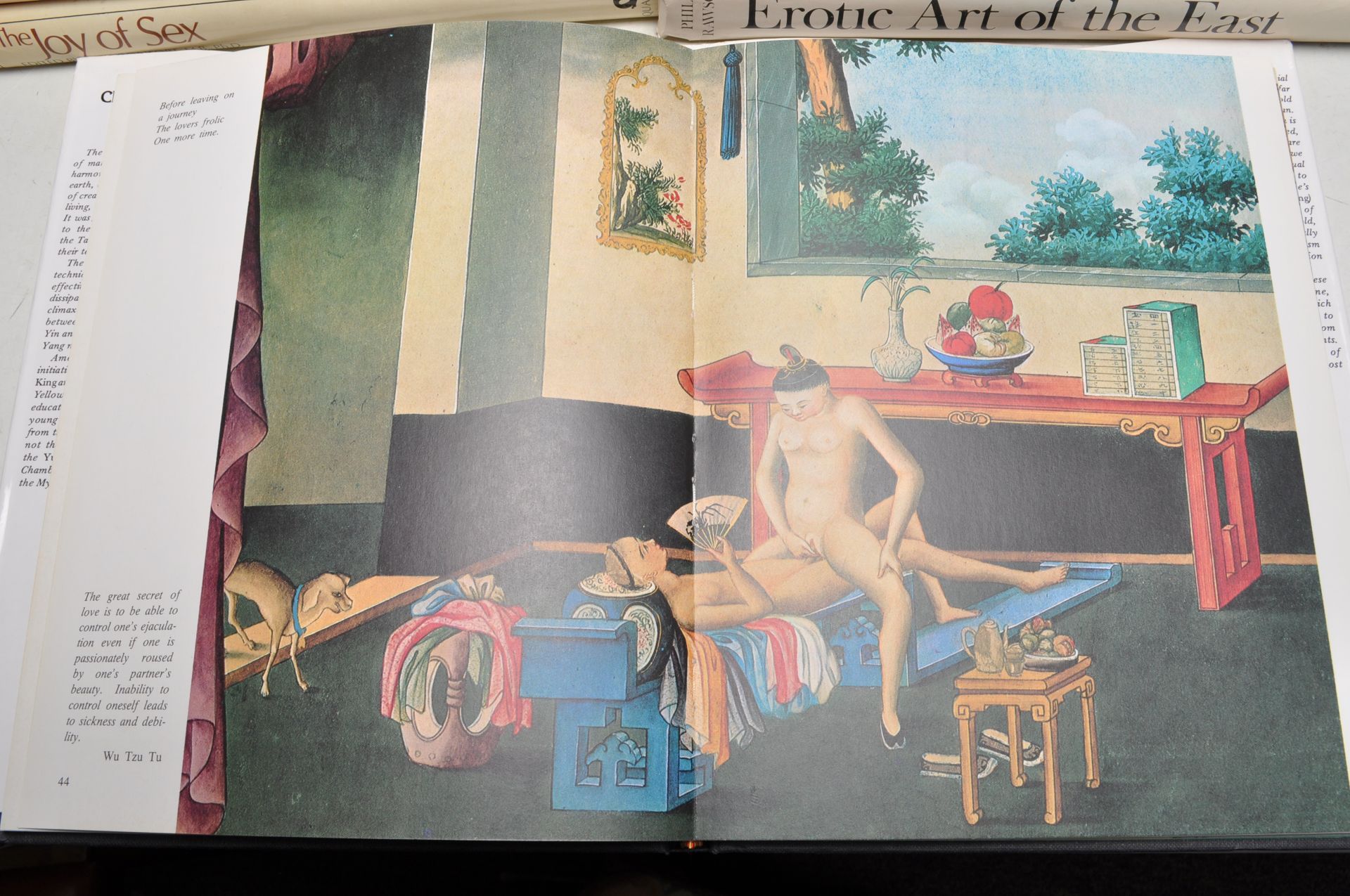 LARGE COLLECTION OF 20TH CENTURY EROTIC BOOKS - Bild 9 aus 19