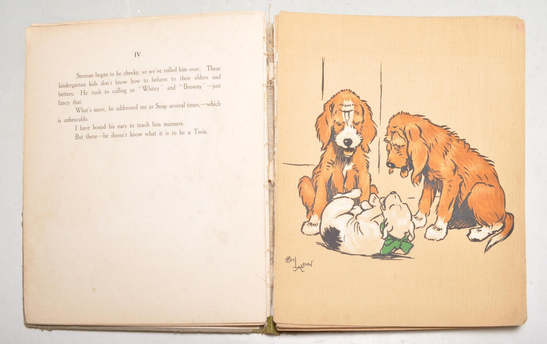 CECIL ALDIN - THE TWINS - FIRST EDITION HARDCOVER - Bild 6 aus 8