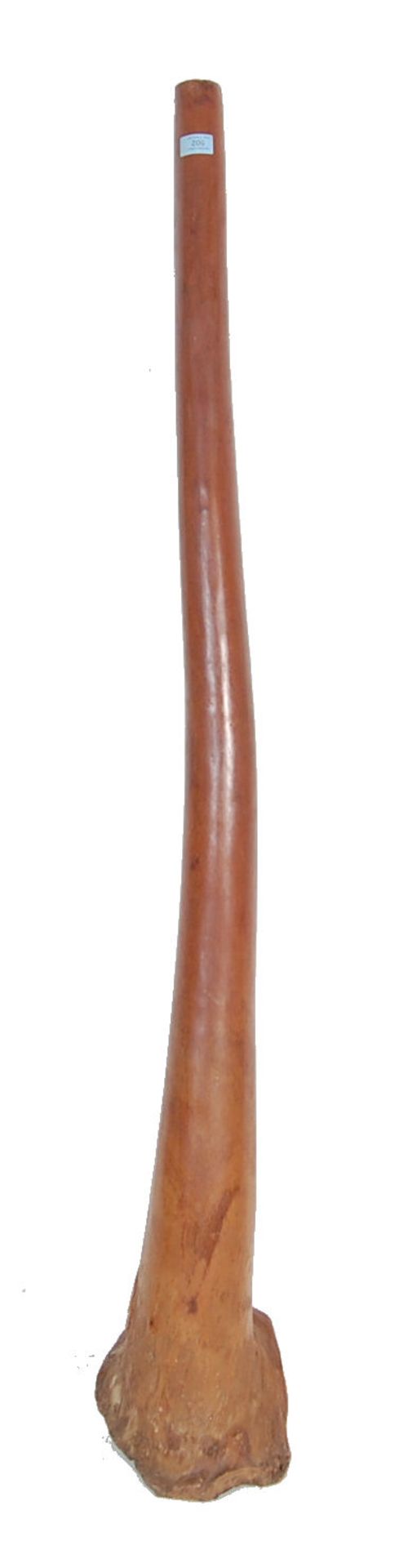 VINTAGE MID 20TH CENTURY DIDGERIDOO INSTRUMENT