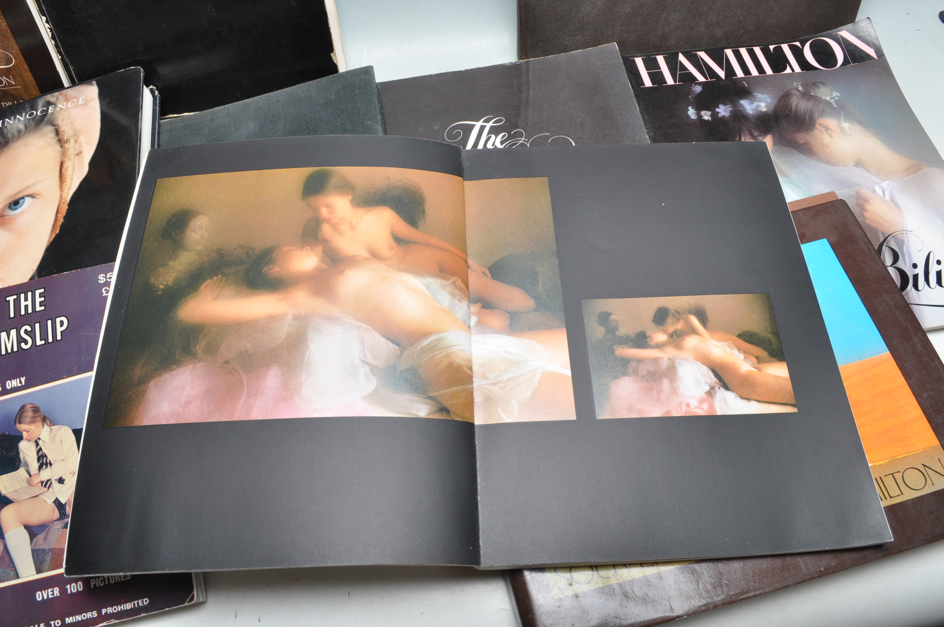 COLLECTION OF ELEVEN HARDBACK EROTICA BOOKS BY DVID HAMILTON - Image 8 of 17