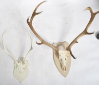 TAXIDERMY AND NATURAL HISTORY - TWO STAG HORNS ON
