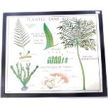 VINTAGE FRENCH FLOWERLESS PLANTS SCHOOL POSTER
