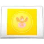 MICHAEL STOKOE - FLOWER - FRAMED AND GLAZED SCREEN PRINT