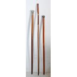 COLLECTION OF THREE ANTIQUE AND LATER WALKING STICKS