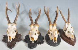 FOUR VINTAGE 20TH CENTURY ROE DEER SKULLS