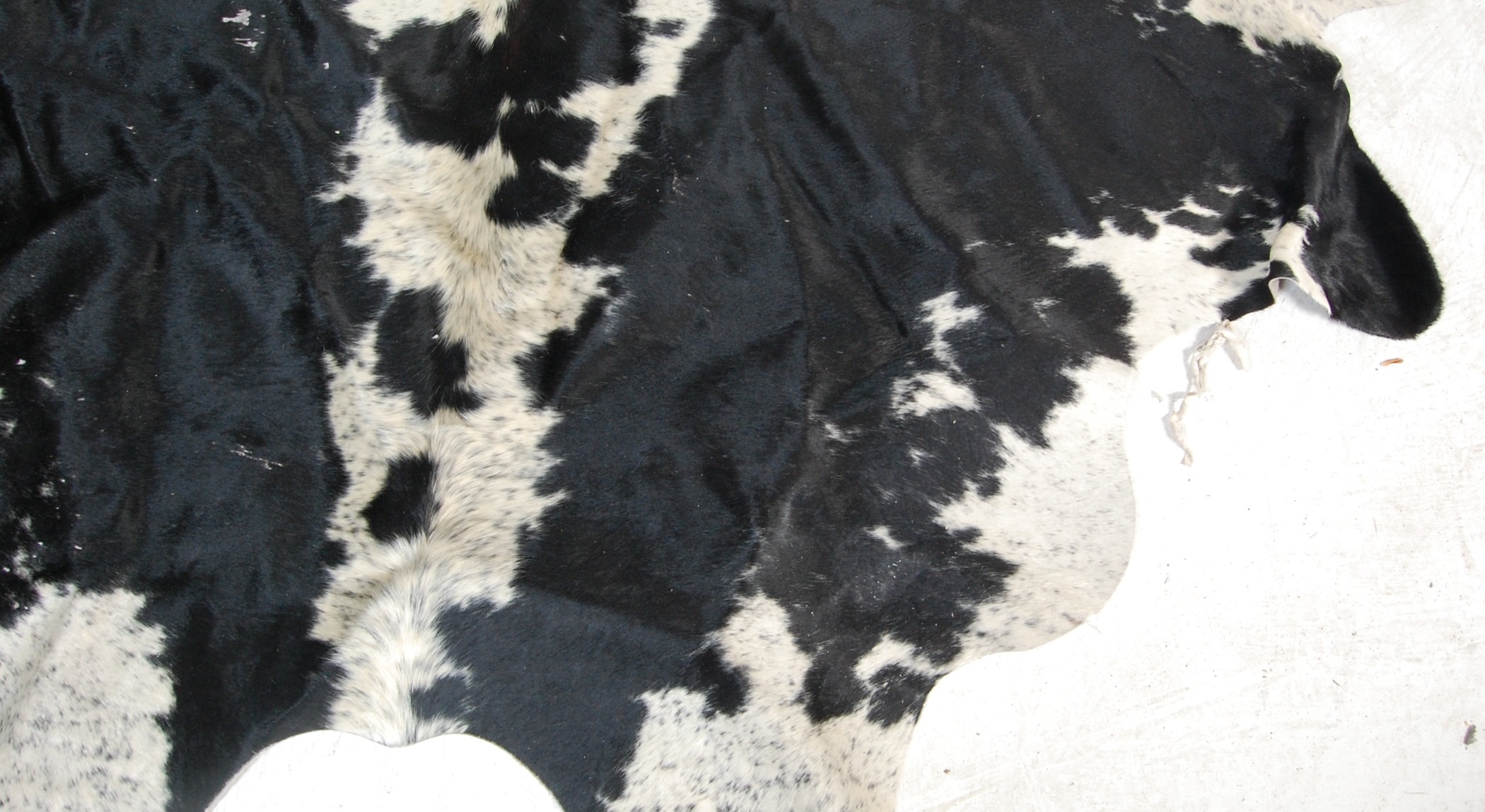 RETRO VINTAGE LATE 20TH CENTURY COW HIDE - Image 2 of 5